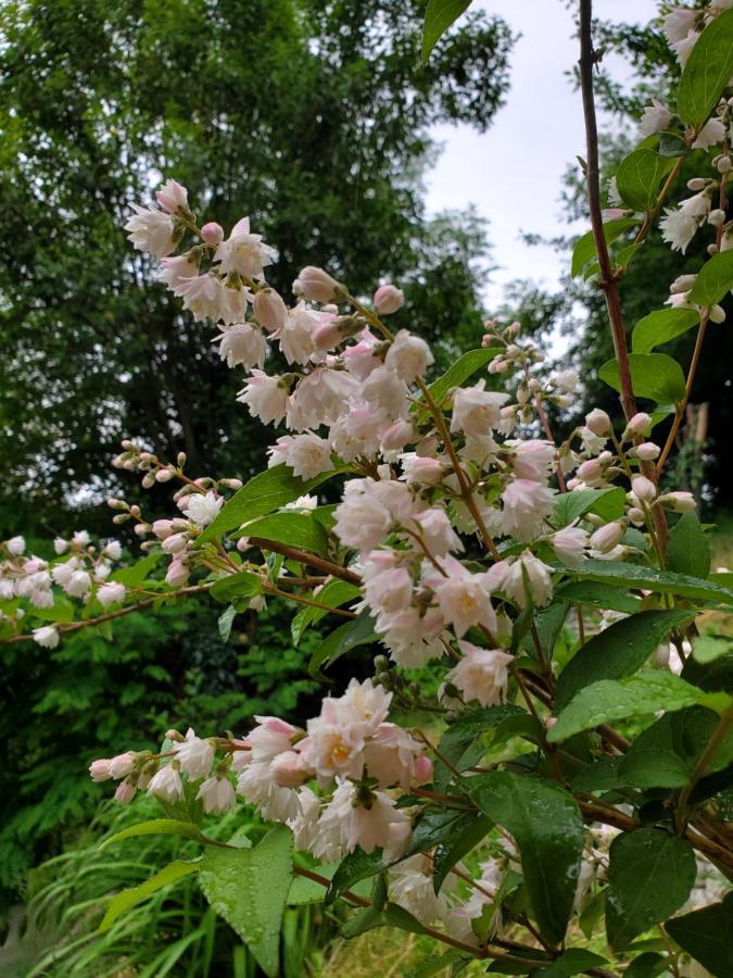 Апартаменты Комплекс Beehives Кутаиси Экстерьер фото