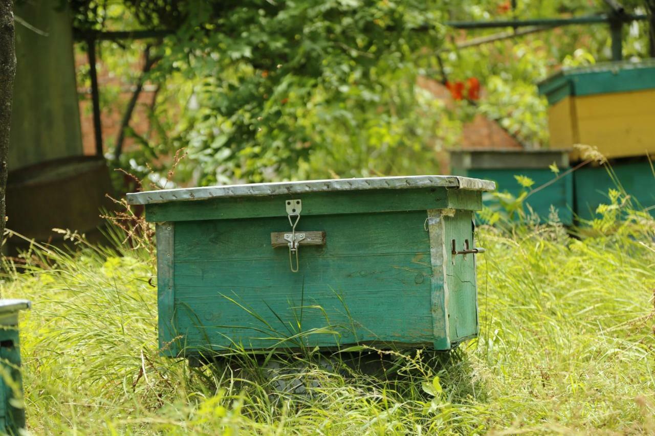 Апартаменты Комплекс Beehives Кутаиси Экстерьер фото